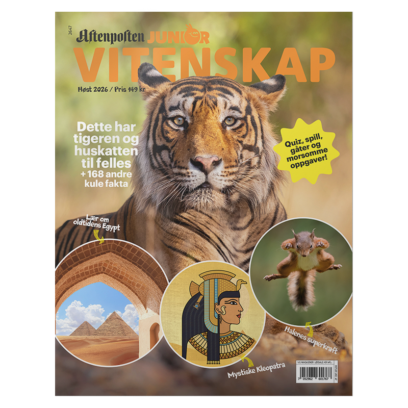 Aftenposten Junior Vitenskap 4 - 2026